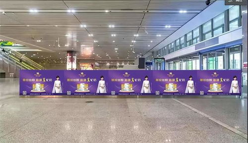 新疆真駝奶 那拉集團搭乘中國速度,迸發品牌強音